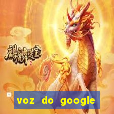 voz do google tradutor homem